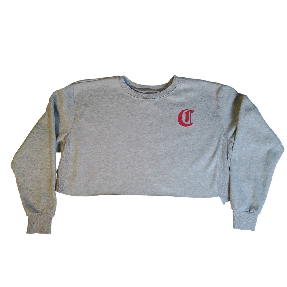 Champion Mens XL Heather Gray‎ Cropped Raw Hem Graphic Back Sweatshirt Pullover